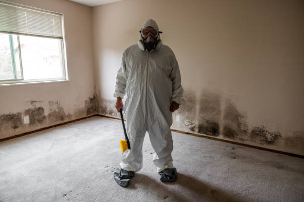 Asbestos and Lead Testing During Mold Inspection in Sumter, SC